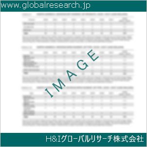 グローバルリサーチ調査資料のイメージ